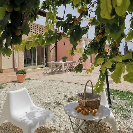 Italian Experience- Bellaluce 14 Loreto